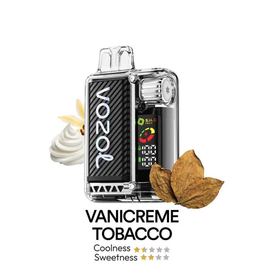 پاد یکبار مصرف ۲۰۰۰۰ پاف وزول ویستا | VOZOL VISTA 20000