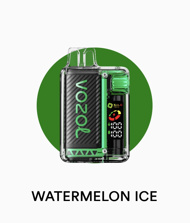 پاد یکبار مصرف ۲۰۰۰۰ پاف وزول ویستا | VOZOL VISTA 20000