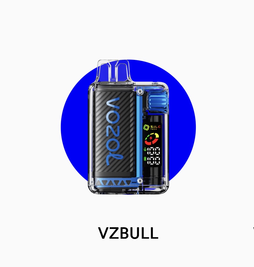 پاد یکبار مصرف ۲۰۰۰۰ پاف وزول ویستا | VOZOL VISTA 20000