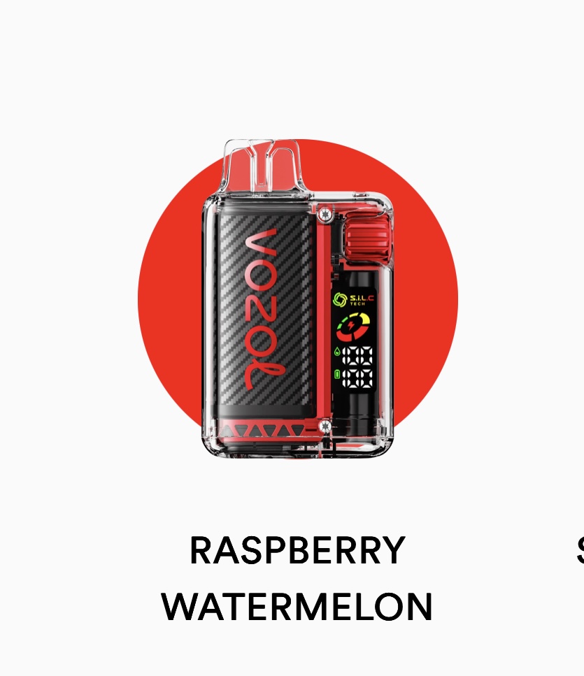 پاد یکبار مصرف ۲۰۰۰۰ پاف وزول ویستا | VOZOL VISTA 20000