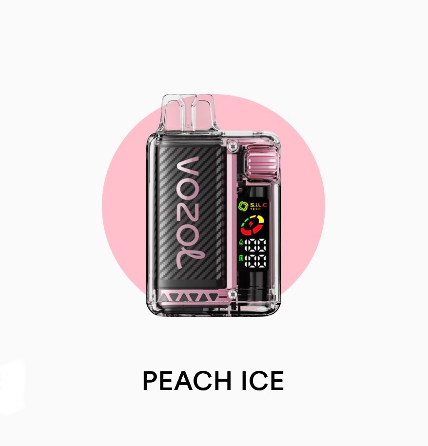 پاد یکبار مصرف ۲۰۰۰۰ پاف وزول ویستا | VOZOL VISTA 20000