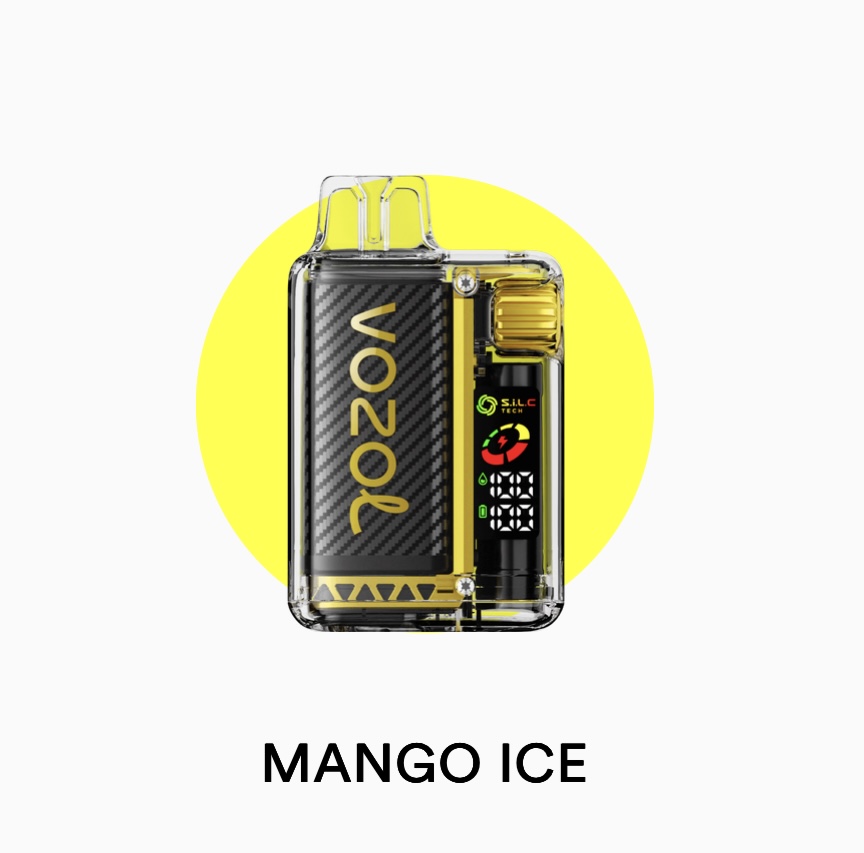 پاد یکبار مصرف ۲۰۰۰۰ پاف وزول ویستا | VOZOL VISTA 20000