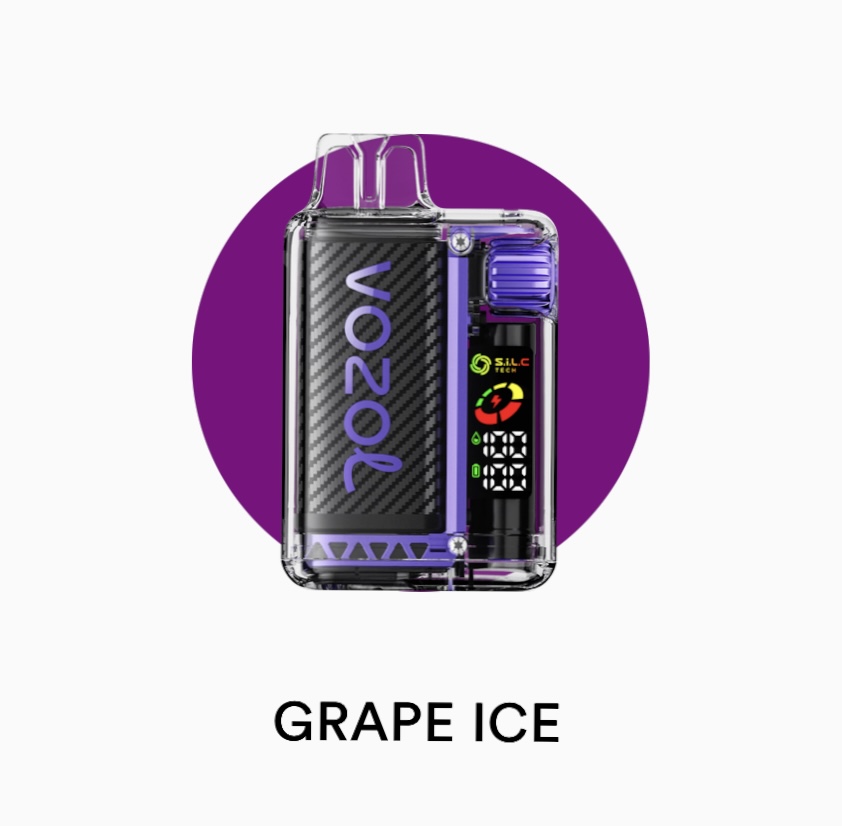 پاد یکبار مصرف ۲۰۰۰۰ پاف وزول ویستا | VOZOL VISTA 20000